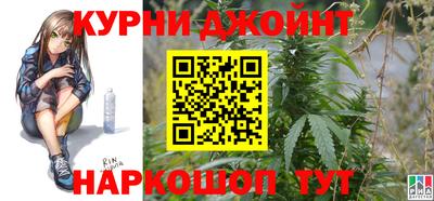 стаф Сланцы