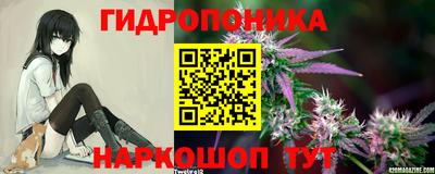 стаф Сланцы