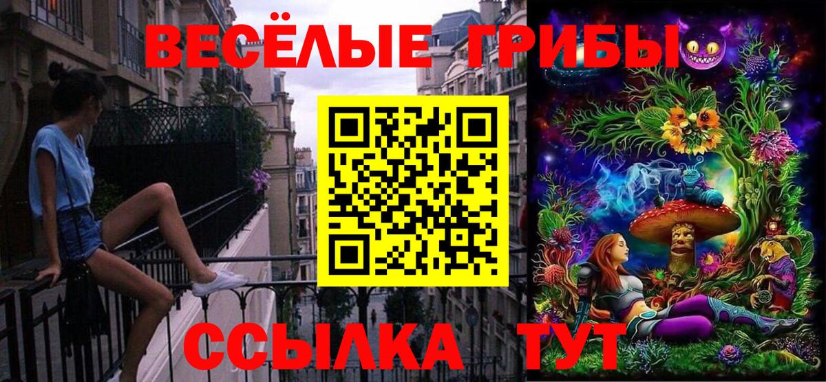 Галлюциногенные грибы мицелий Новошахтинск