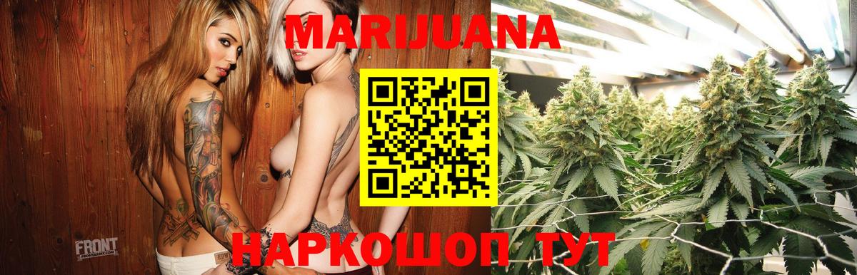 Бошки Шишки семена Новошахтинск